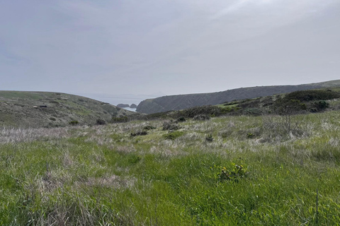 From Orange County: Channel Islands Private Day Tour