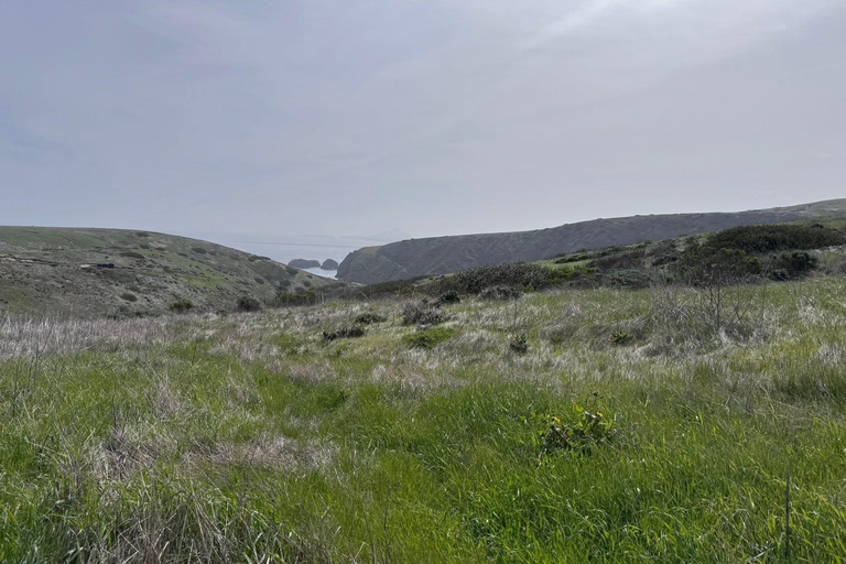 From Orange County: Channel Islands Private Day Tour