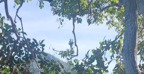Puerto Vallarta: jungle and coastline hike along 6 beaches