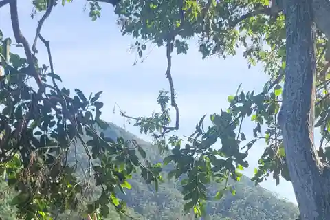 Puerto Vallarta : randonnée dans la jungle et sur le littoral le long de 6 plages
