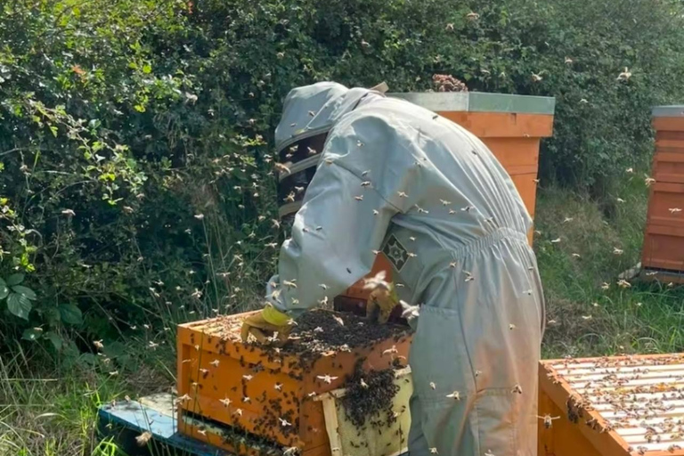 Experience beekeeping in Manchester