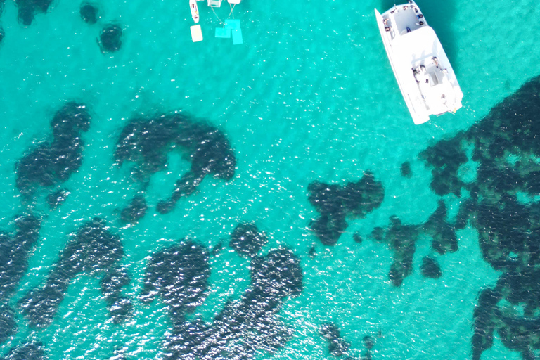 Mallorca: Discover paradisiacal coves on board of an exclusive catamaran