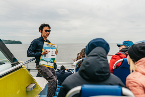 Vancouver: tour de medio día para avistar ballenas