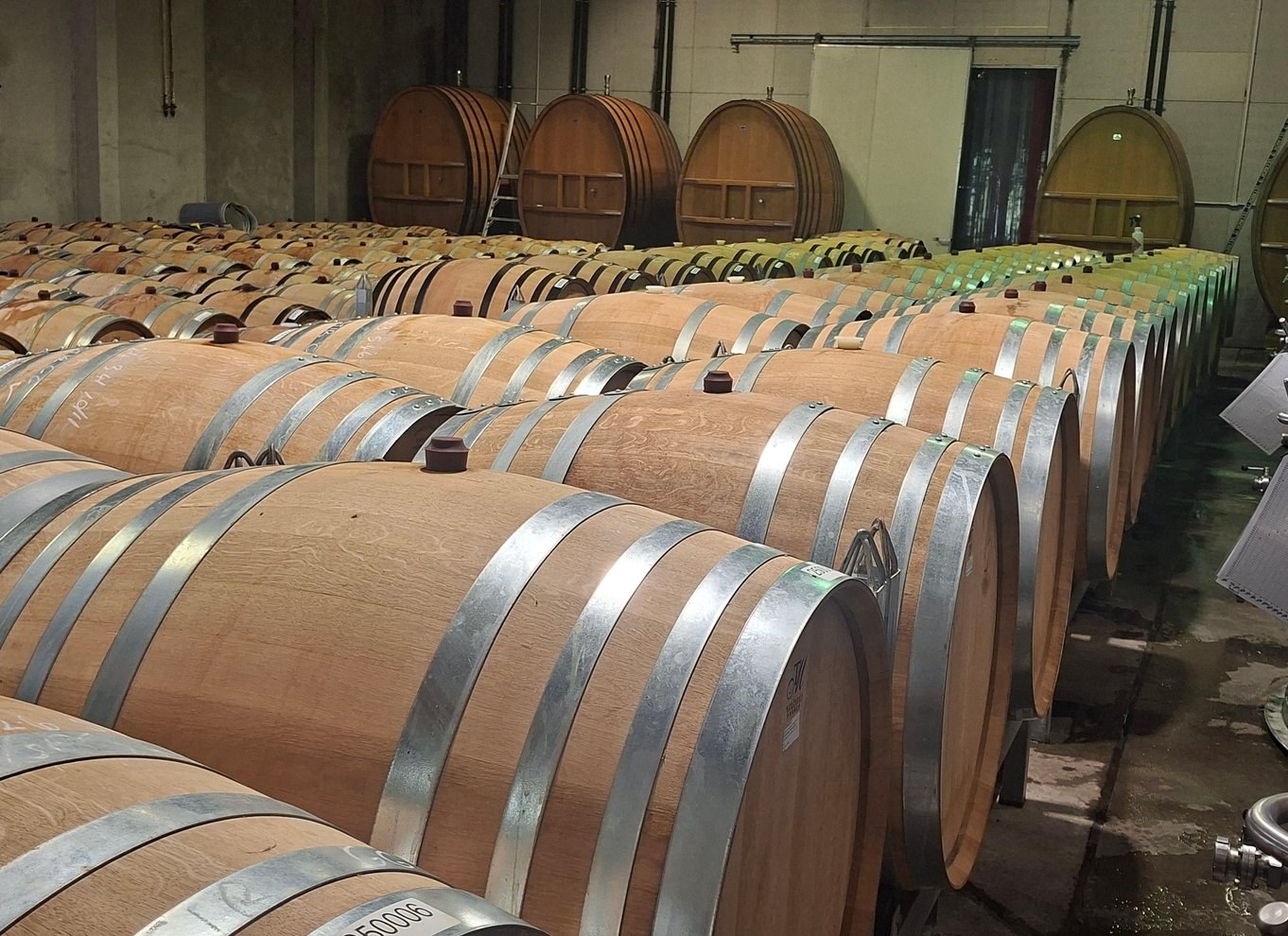 Napier: Gourmetfrokost og smagsprøver på vingård, 4 fantastiske vingårde