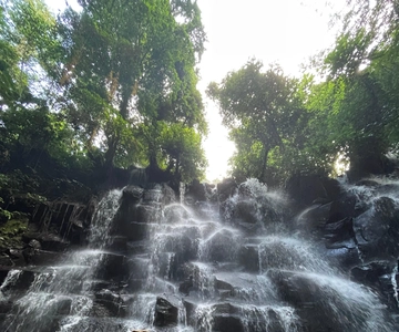 Ubud: Hidden Gems and Waterfalls Private Tour