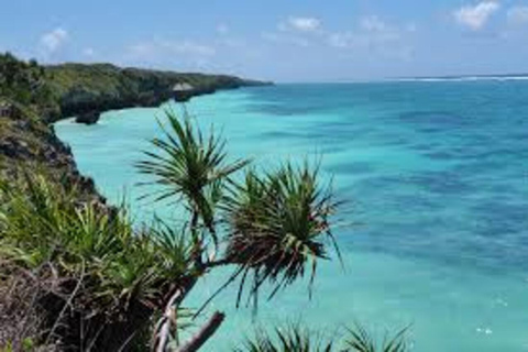 Bosque de Jozani y playa de mtende