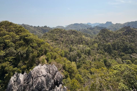 Langkawi: Kilim Geoforest Park Guided Jungle Trek