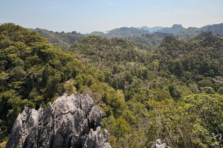 Langkawi: Kilim Geoforest Park Guided Jungle Trek