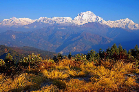 Ghorepani Poon Hill Trek - Annapurna Sunrise Trek9 dagars vandring i Ghorepani och Poon Hill