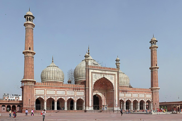 Nueva Delhi: Antigua y Nueva Delhi Tour privado de día completoTransporte privado de día completo, guía y entradas