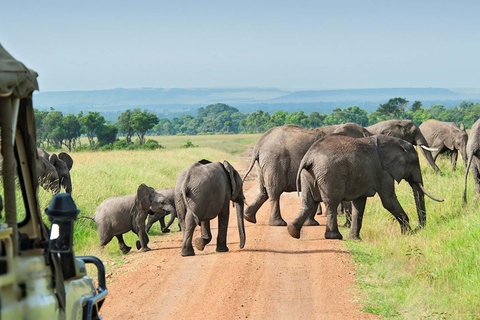 From Zanzibar: Selous Game Reserve Full-Day Safari