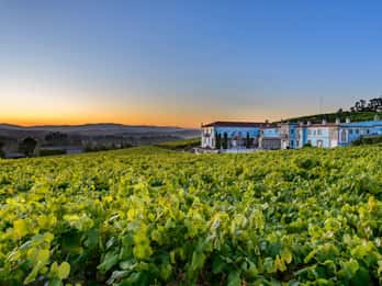Granbazán Winery: Guided Tour and Wine Tasting
