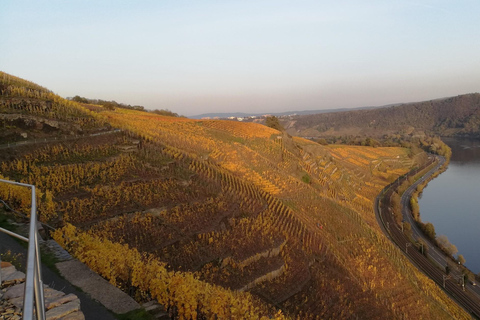 Koblenz: Der lebendige Weinberg, Natur- und Weingenuss