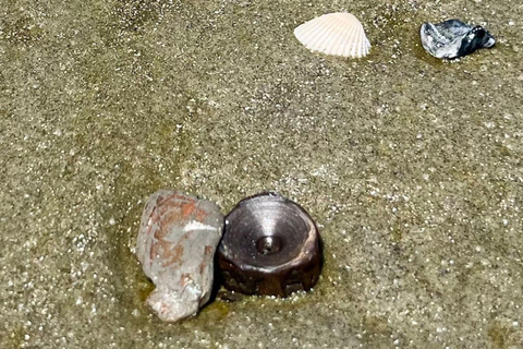 Folly Beach: Morris Island Bootstour mit Fossilienjagd