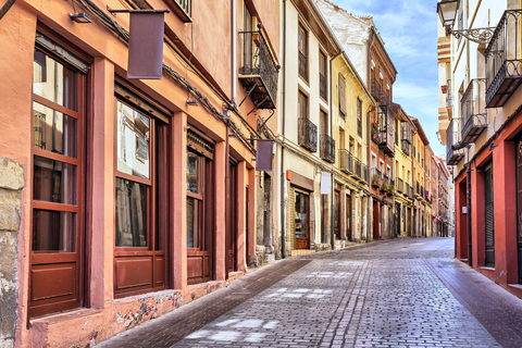León: Spanish Walking Tour of City and Cathedral