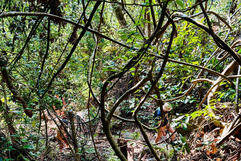 2-tägige Ha Long Bay Island Cruise Tour mit einem 3-Sterne-Kreuzfahrtschiff