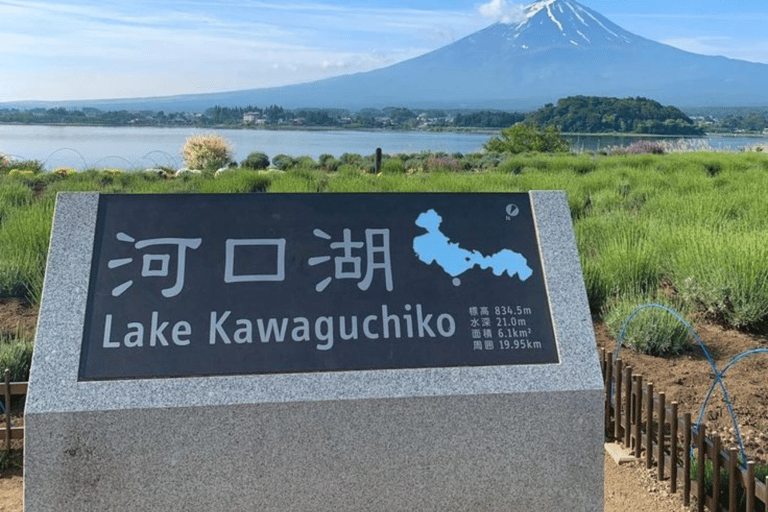 From Tokyo: Mount Fuji Full Day Customizable Private Tour