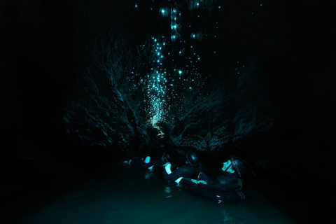 The Waitomo Experience : Okahua Glowworm Cave Tour