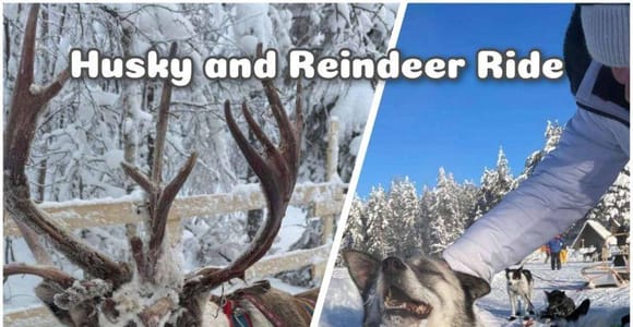 Levi: Ultimate Combo! Husky Safari & Reindeer Sleigh Ride