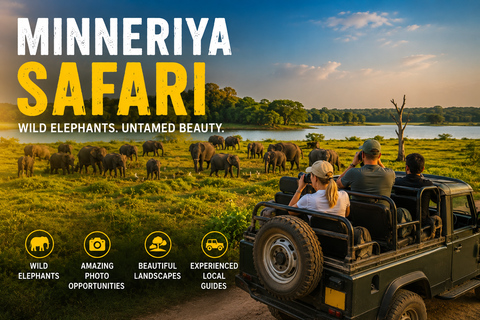 Sigiriya: Minneriya National Park Shared Safari with Pickup