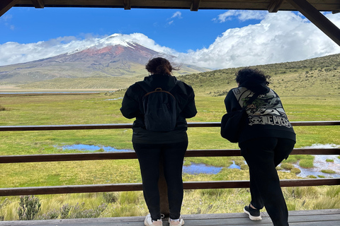 Cotopaxi i Baños Tour w jeden dzień - wszystko wliczone w cenę z QuitoProsta wycieczka (bilety nie są wliczone w cenę)