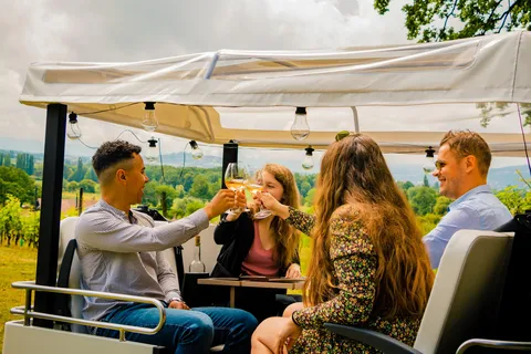 Tour particular de Tuk Tuk sobre fondue e vinho em Genebra