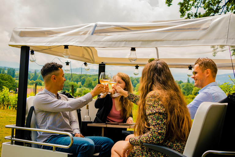 Visite privée des hauts lieux TukTuk électrique 1h