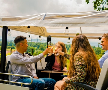 Fondue y vino tour privado en Tuk Tuk por Ginebra