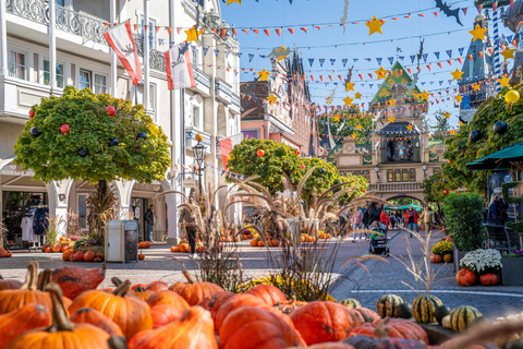 Basel: Europa-Park 1-day ticket with direct RailCoaster