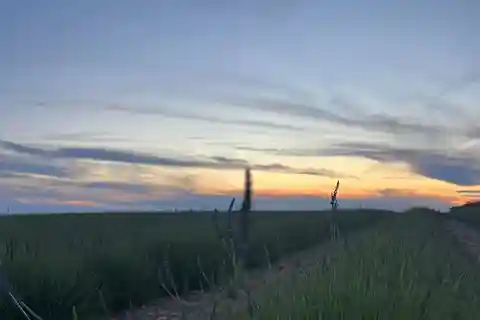 Um piquenique provençal ao pôr do sol nos campos de lavanda