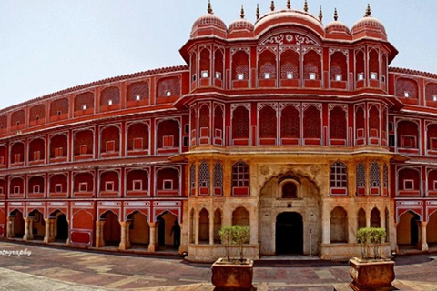 Ranthambore, Sariska &amp; Jaipur: A 3-Day Escape from DelhiAll-Inclusive tour