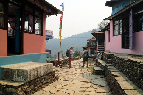 Pokhara: Australian Camp, Pothana & Dhampus Day Private Hike