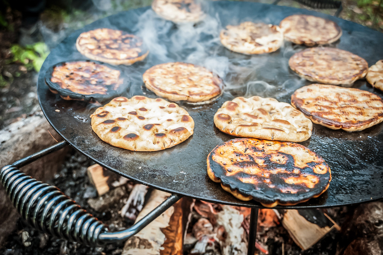 Ab Stockholm: Wildsafari mit Abendessen am Lagerfeuer