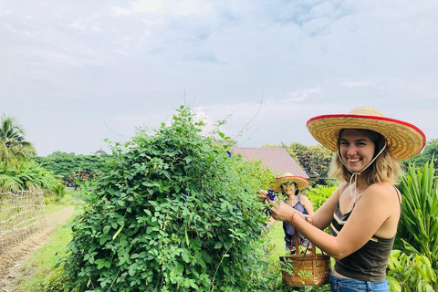 Doświadczenie organicznego gotowania tajskiego w Chiang Mai