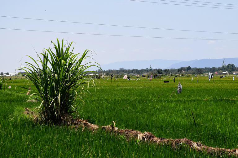 Mto wa Mbu: Waterfall, Maasai Boma, Village, & Balaa Hill Mto wa Mbu Tour & Canoe Ride on Lake Manyara