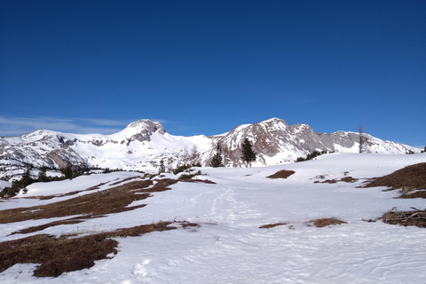 Wien: 2-tägige Alpen-Wanderung mit Tourguide und Transfer