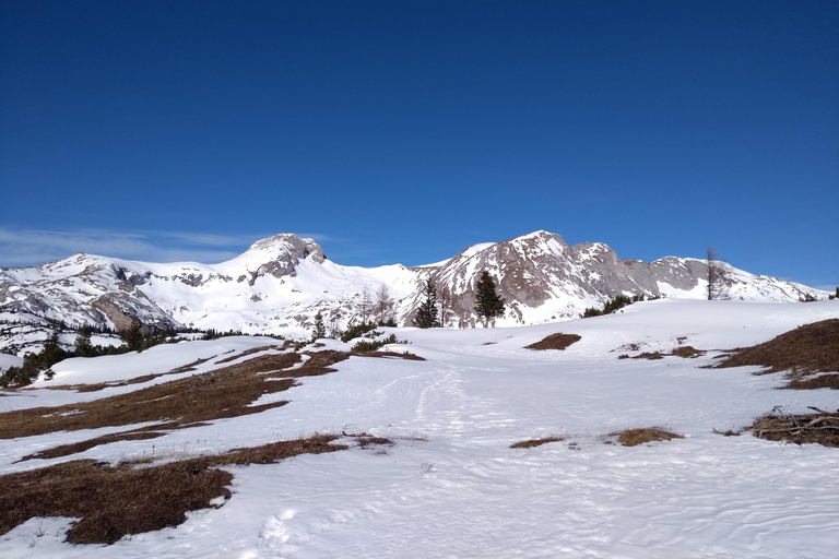 Wien: 2-tägige Alpen-Wanderung mit Tourguide und Transfer