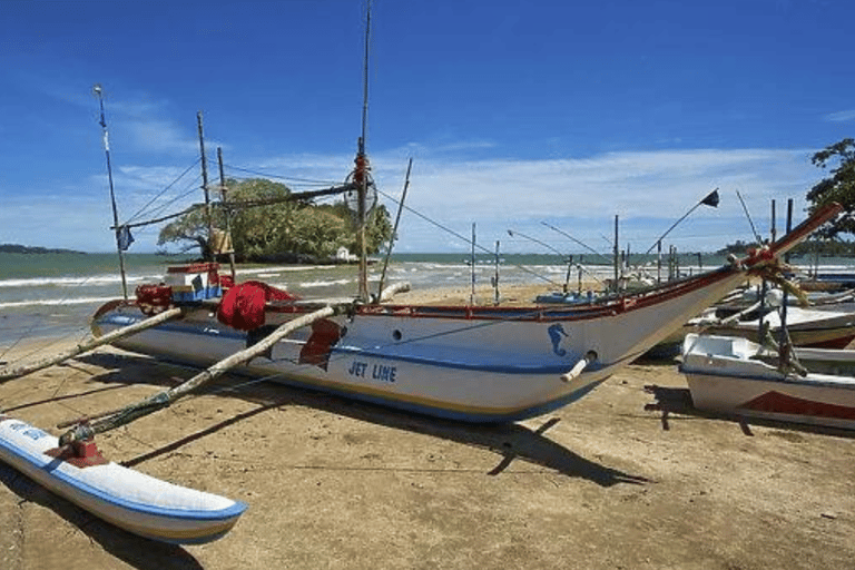 Verken de zuidelijke kust van Sri Lanka met Mr.Scooter($40)