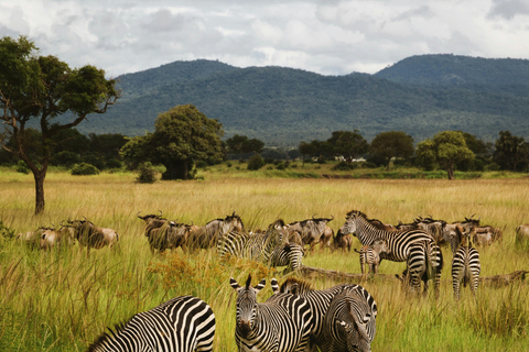 Mwea National Reserve Full-Day Safari from Nairobi