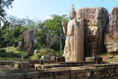 From Anuradhapura To Sigiriya Transfer with Sightseeing Stop
