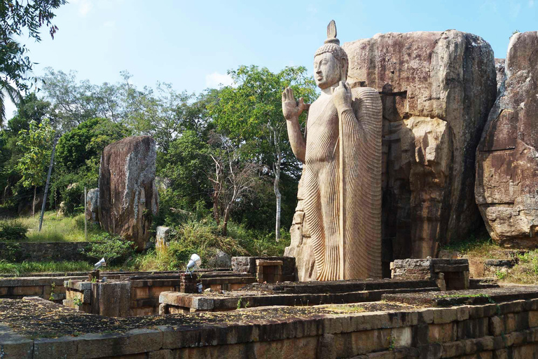 From Anuradhapura To Sigiriya Transfer with Sightseeing Stop
