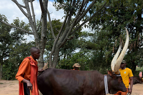 Nyanza: King's Palace Museum and Inyambo Royal Cows
