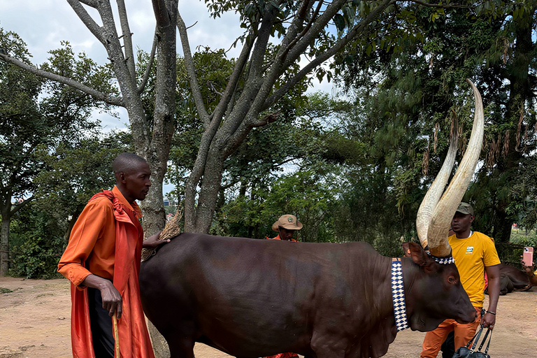 Nyanza: King's Palace Museum and Inyambo Royal Cows