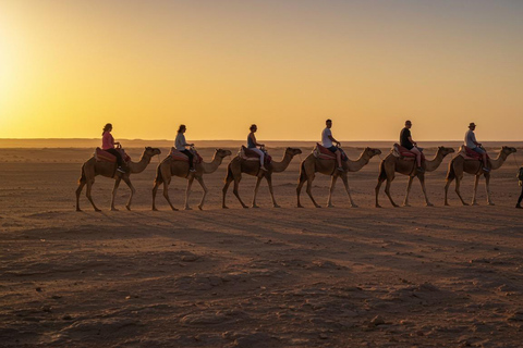 Marrakech: Agafay Wüste Quad &amp; Kamelreiten mit Dinner ShowMarrakesch: Quad- und Kamelritt in der Agafay-Wüste mit Dinner-Show