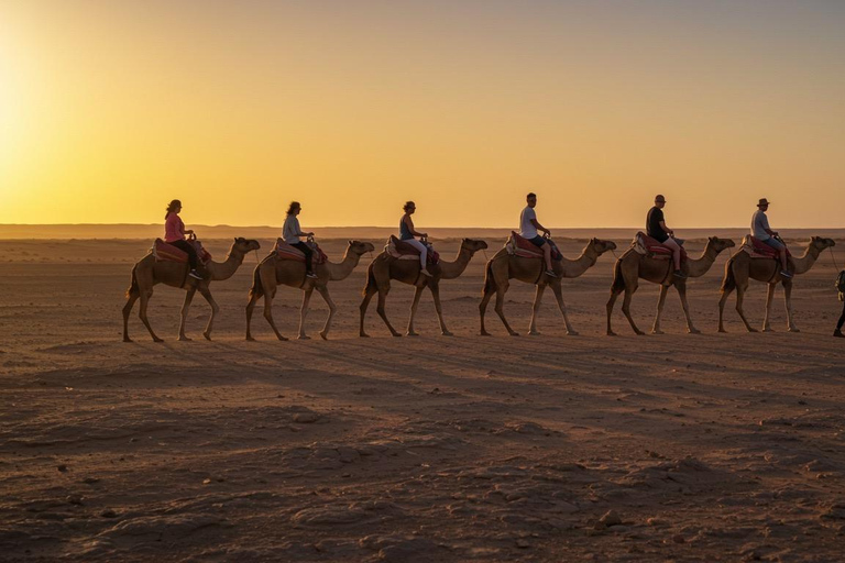 Marrakech: Agafay Wüste Quad &amp; Kamelreiten mit Dinner ShowMarrakesch: Quad- und Kamelritt in der Agafay-Wüste mit Dinner-Show