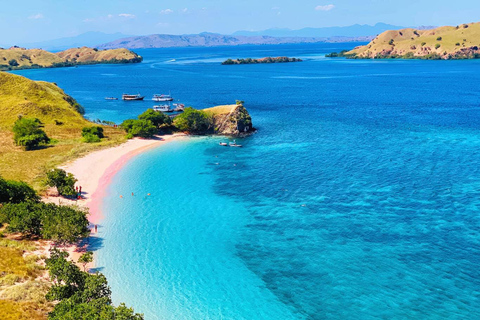Open Trip Komodo 3 Days 2 Nights