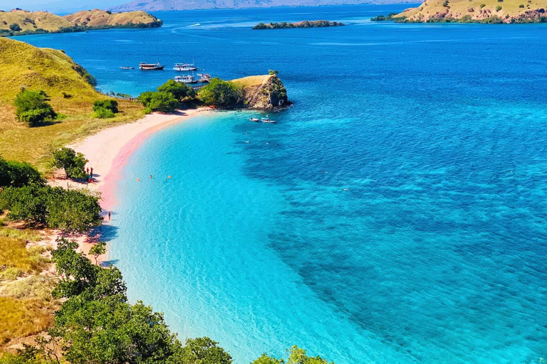 Open Trip Komodo 3 Days 2 Nights