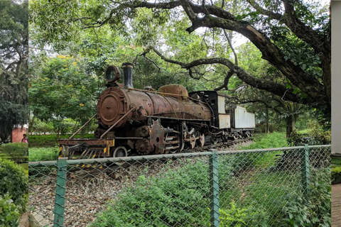 بنغالور: جولة إرشادية في نافورة أنديرا غاندي الموسيقيةBangalore: Indira Gandhi Musical Fountain Guided Tour
