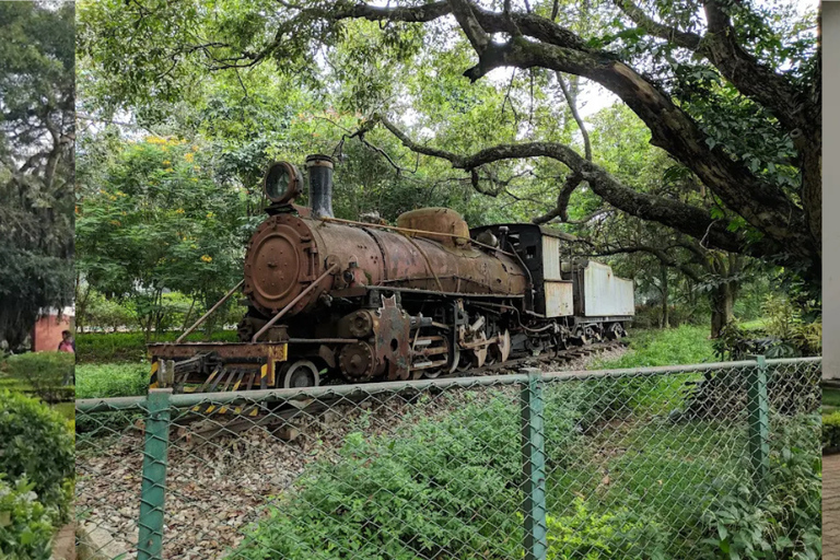 بنغالور: جولة إرشادية في نافورة أنديرا غاندي الموسيقيةBangalore: Indira Gandhi Musical Fountain Guided Tour