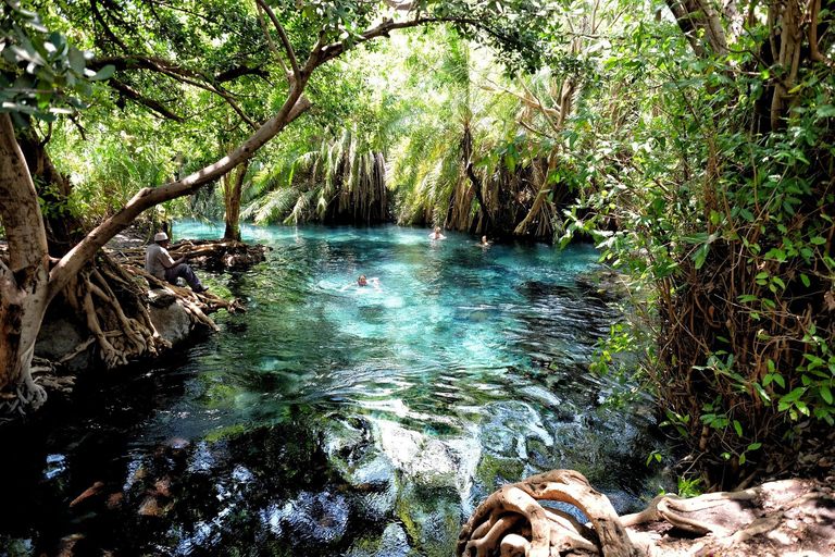 1 Day Private Cultural tour to Materuni Waterfalls & Chemka